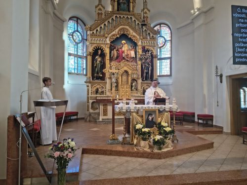 Zdjęcie 5 / 12