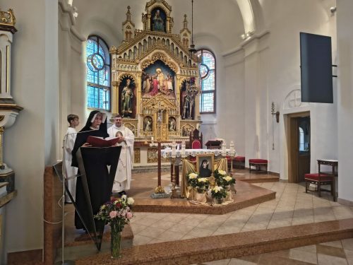 Zdjęcie 1 / 12