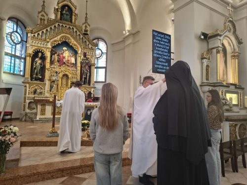 Zdjęcie 3 / 12