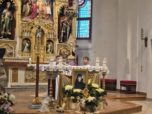 Zdjęcie 10 / 12