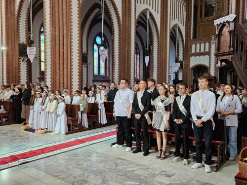 Zdjęcie 2 / 26