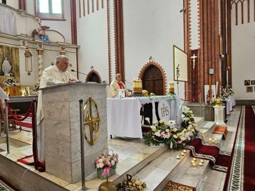Zdjęcie 3 / 26