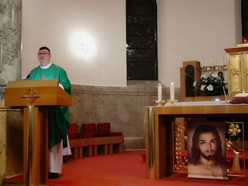 Zdjęcie 2 / 30