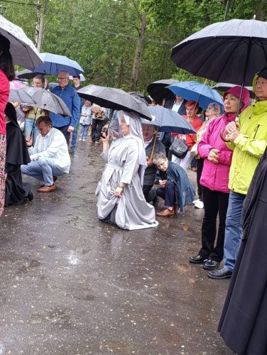 Zdjęcie 5 / 26