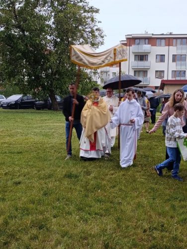 Zdjęcie 8 / 26