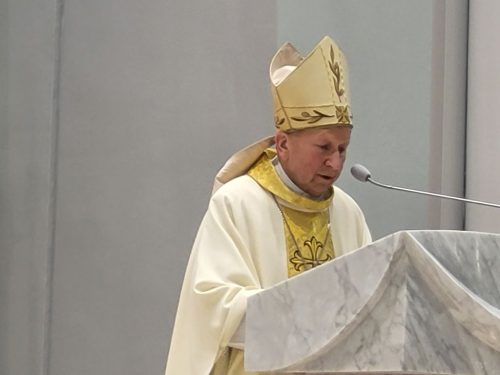 Zdjęcie 14 / 40