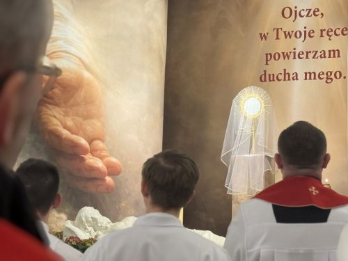 Zdjęcie 36 / 40