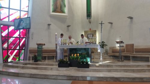 Zdjęcie 5 / 40