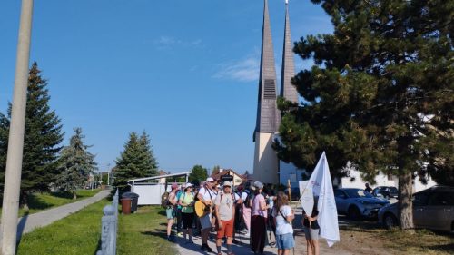 Zdjęcie 6 / 40