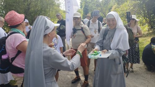 Zdjęcie 11 / 40