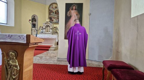 Zdjęcie 4 / 16