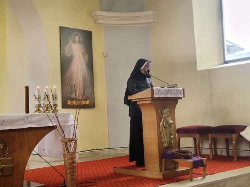 Zdjęcie 2 / 16