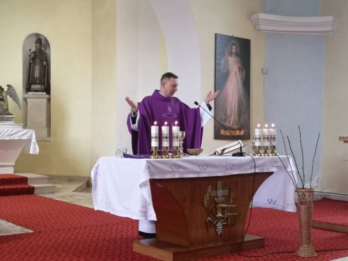 Zdjęcie 13 / 16