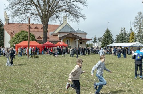 Zdjęcie 1 / 12