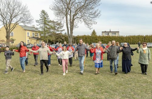 Zdjęcie 5 / 12
