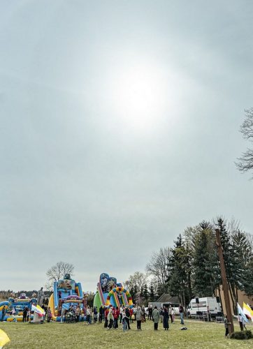 Zdjęcie 12 / 12